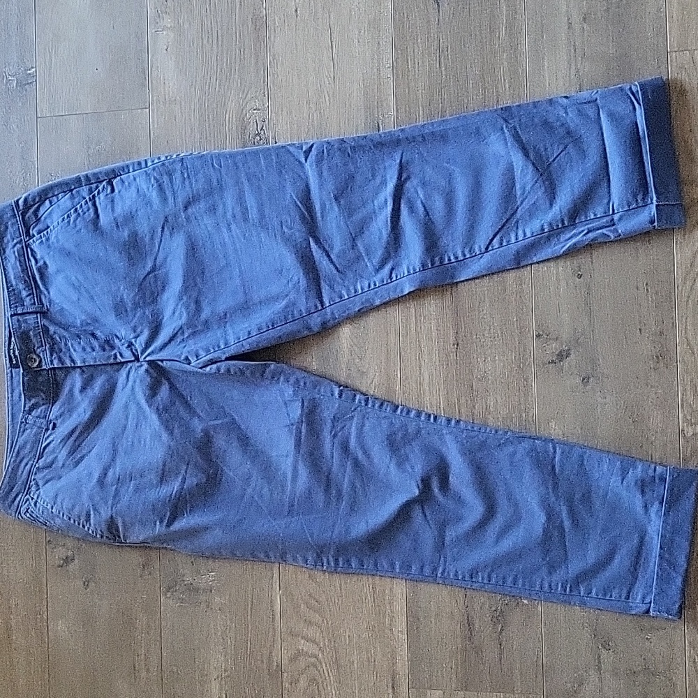 Banana Republic Blue Ankle Capris